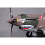 FMS 980mm P-40B Warhawk High Speed PNP