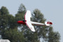 FMS 1500mm MOA Beginner Glider Ready To Fly with Reflex Stabilizer