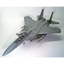 ACADEMY 1/48 F-15E "SEYMOUR JOHNSON"