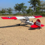 Seagull Giant Scale Cessna Bird Dog DeadEye 122 Inch ARF 70-125cc