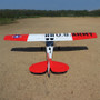 Seagull Giant Scale Cessna Bird Dog DeadEye 122 Inch ARF 70-125cc