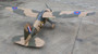Seagull Westland Lysander III (R9125) 118" wingspan50-60cc, Matte Finish "new version"