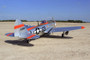 Seagull P-47D Chief Ski-U-Mah II ARF 70 inch, 35cc without retracts
