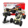 [Pre-order] Rlaarlo 1/8 4WD Brushless 7075 Aluminium RTR Buggy Dragon Scale Knight | DSK Blue