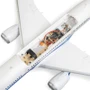 Eflite Micro Boeing 787 Dreamliner Twin 30mm EDF BNF Basic with AS3X and SAFE