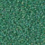 Delica Seed Bead - #0858 Green Transparent Rainbow Matte