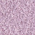 Delica Seed Bead - #1534 Pale Rose Opaque Ceylon