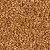 Delica Seed Bead - #1833F Duracoat Galvanized Yellow Gold Matte