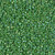 Delica Seed Bead - #0163 Green Opaque Rainbow
