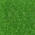 Delica Seed Bead - #1106 Lime Transparent