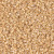 Delica Seed Bead - #1571 Pear Opaque Rainbow