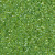 Delica Seed Bead - #2376 Fresh Celery Dyed Inside Color Lined Rainbow