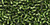 Toho Treasures 11/0 - #0037 Moss Transparent Silver Lined