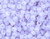 Matubo 8/0 - #21310 Milky Lavender