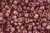 Matubo 6/0 3-Cut - Rosaline Transparent Luster