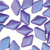 GemDuo - Tropical Blue Grape