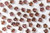 Ginkgo Leaf Bead - Gold/Smokey Topaz Transparent Luster