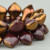 Spades (11x8mm) - Maroon Opaque with Bronze