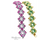 Cornerstones Bracelet by K. Shaw: Starman's Trendsetter Pattern