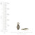 Nunn: Bitsy Bezel Navette Single Loop | Pk of 2