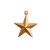 Brass Stamping: Nautical Star | Pk of 2 *Discontinued*