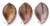 Large Leaf Button by Susan Clarke