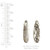 Nunn Charm - Organic Mussel Shell | 1 Each