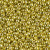 Round Seed Bead by Miyuki - #4205 Duracoat Galvanized Zest