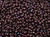 Round Seed Bead by Toho - #Y504 HYBRID Antiqued Purple Metallic *Discontinued*