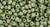 Round Seed Bead by Toho - #2632-F Semi Glazed Rainbow Honeydew