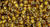Round Seed Bead by Toho - #2152-S Sasparilla Transparent Silver-Lined