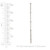 Satellite 2mm Bead Chain by Nunn Design