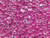 5/0 Triangle Bead - #1110 Clear / Fuchsia Inside Color Lined