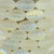 Pine Cone - Crystal Transparent Matte with Aurora Borealis Finish