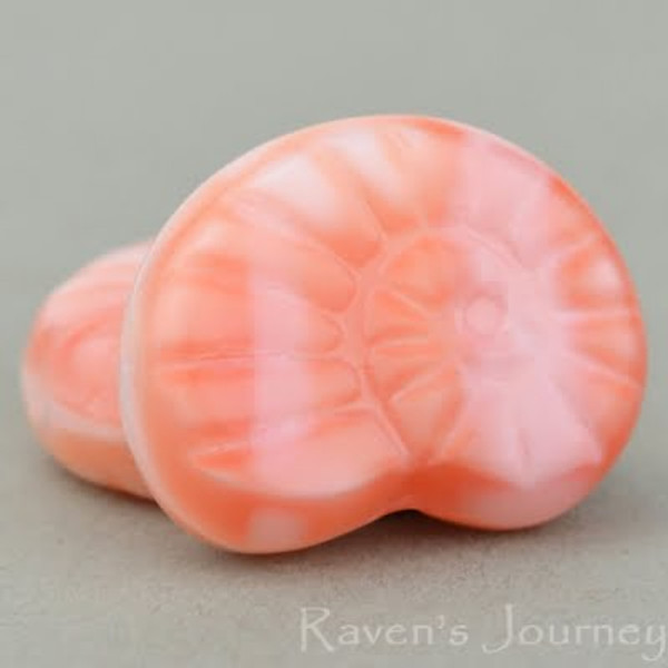 Nautilus Shells 17x14mm - Pink White Silk Mix