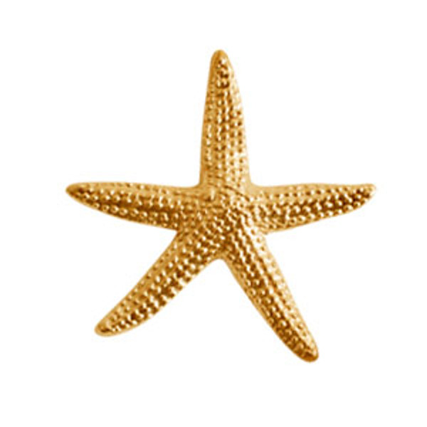 Brass Stamping: Medium Starfish | Pk of 2