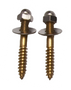 Brass Plated Closet Screws 1/4" X 2 1/2"