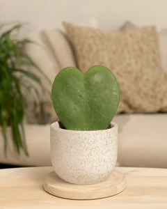 Jade