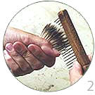 Combing Hair