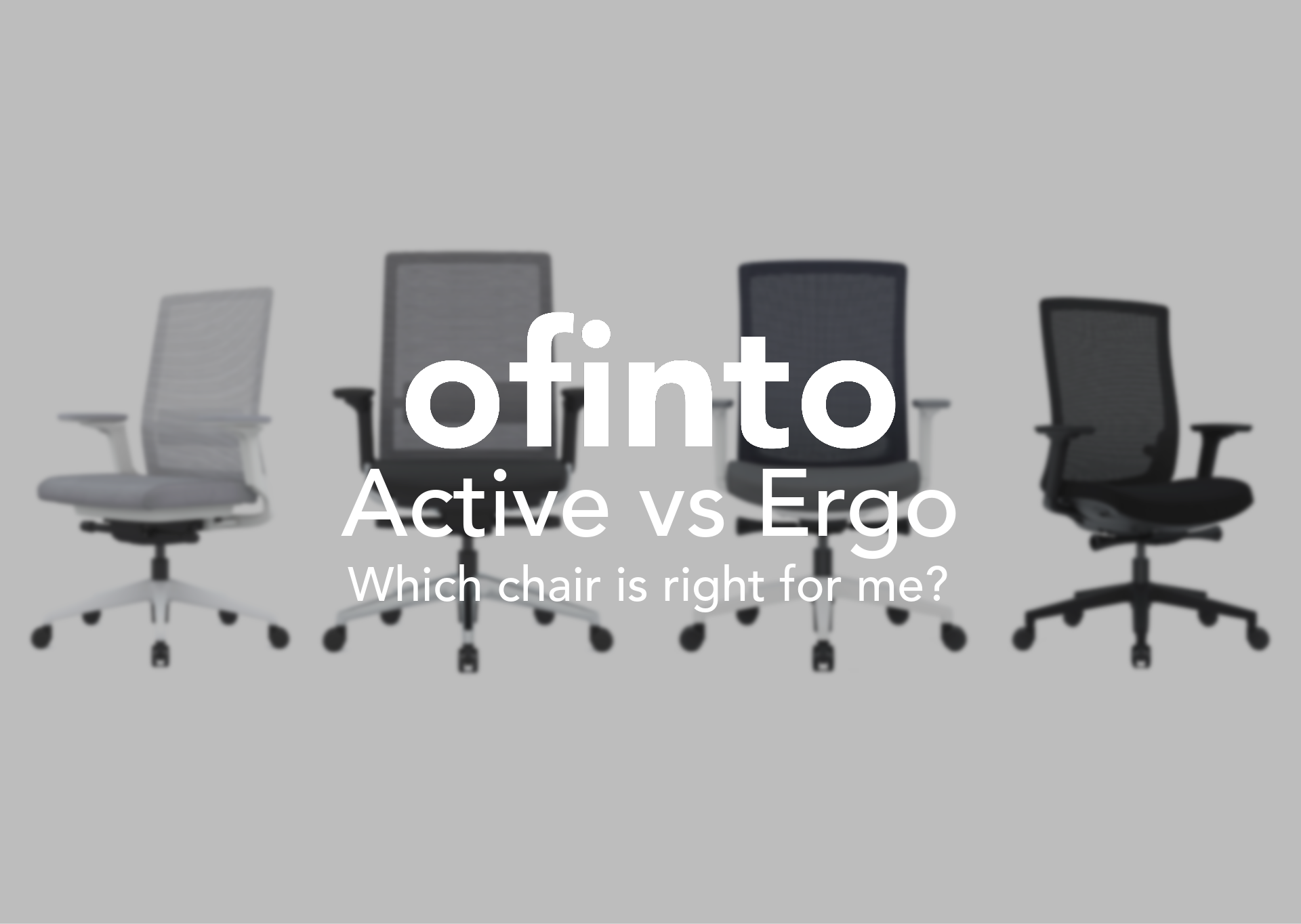 The ofinto office chair comparison: ofinto Active vs. Ergo