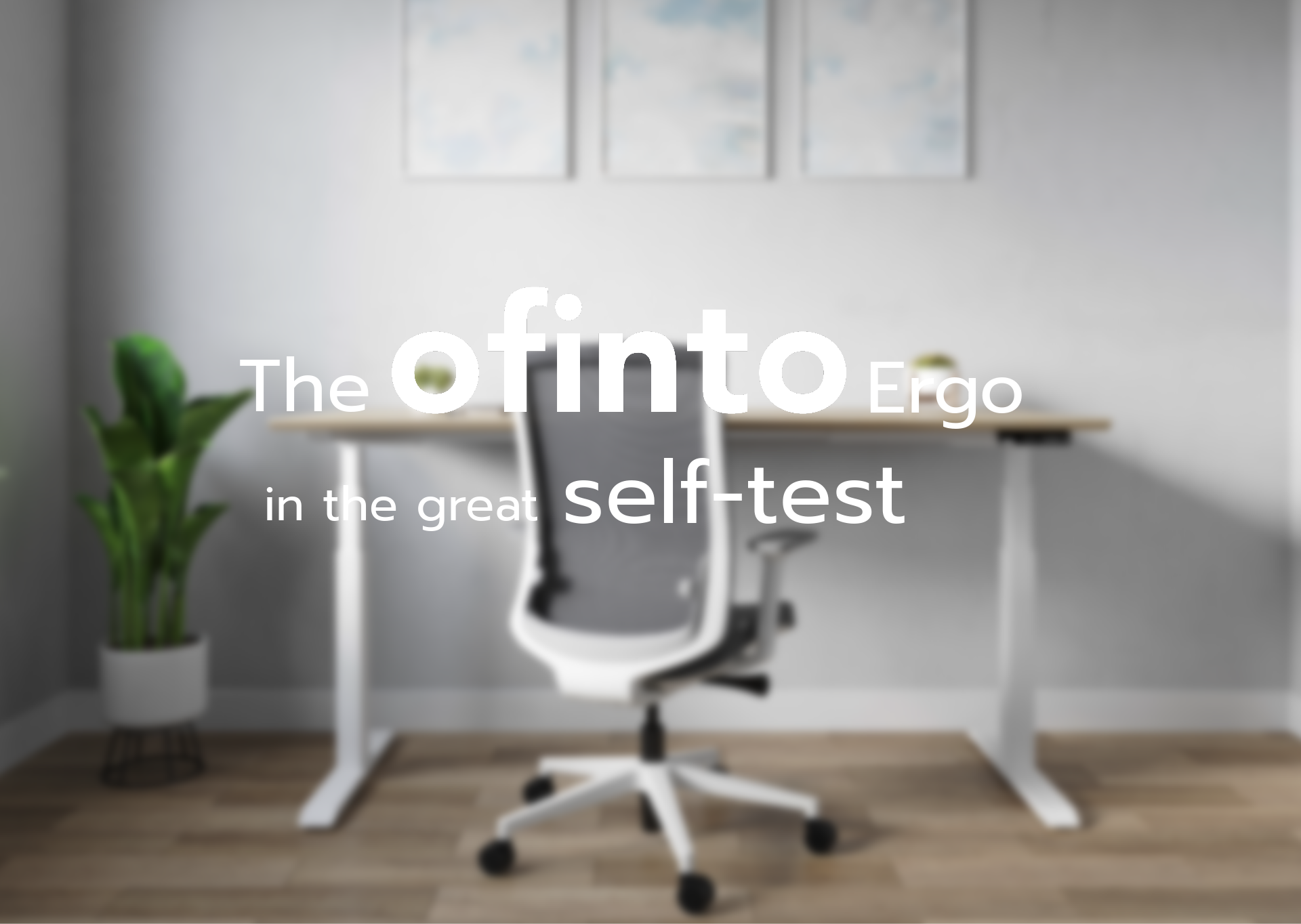 The ofinto Ergo in a Detailed Office Chair Test