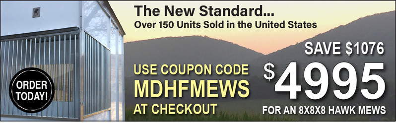 Mike Dupuy Hawk Mews