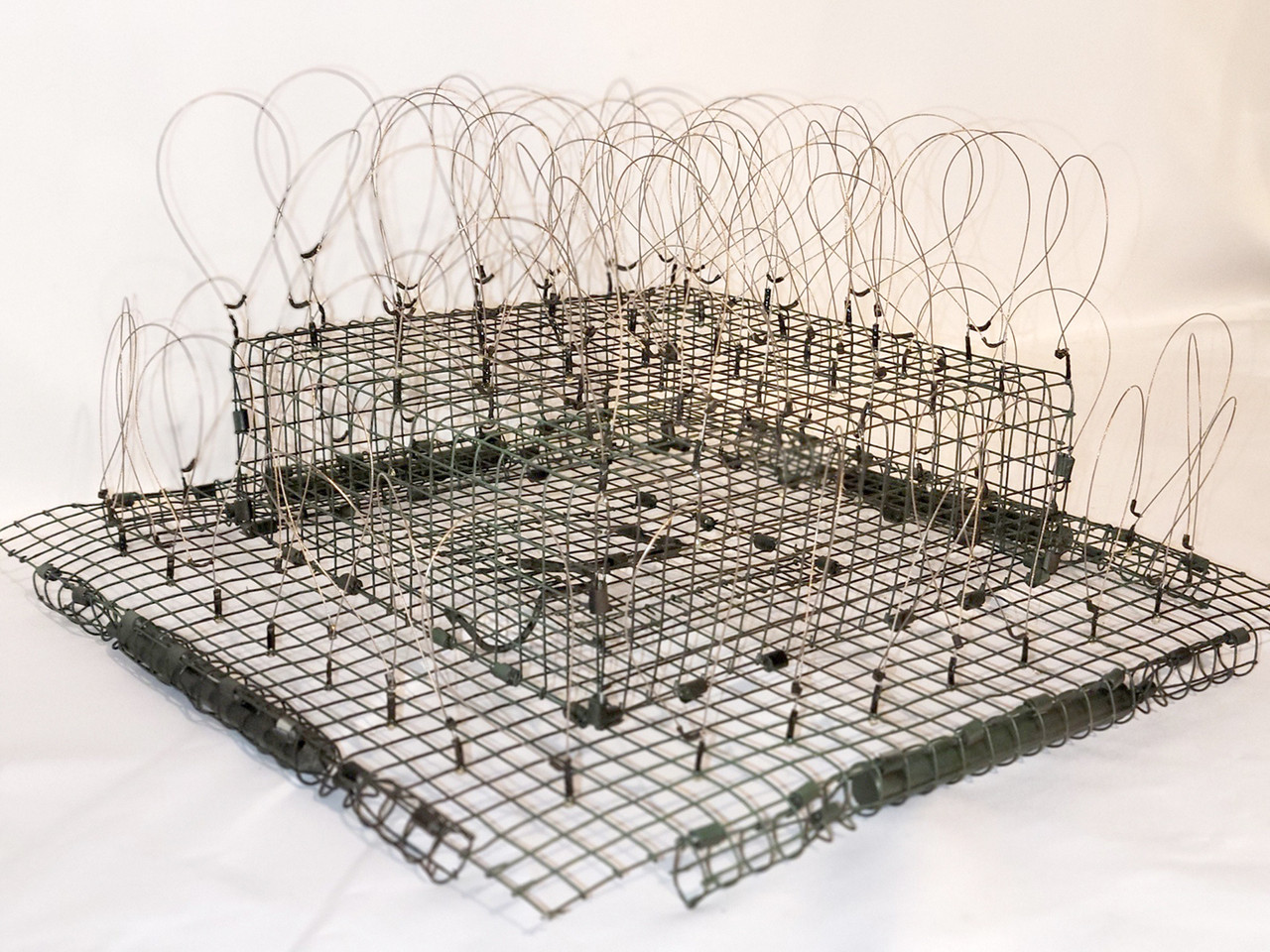 Swedish Goshawk Trap