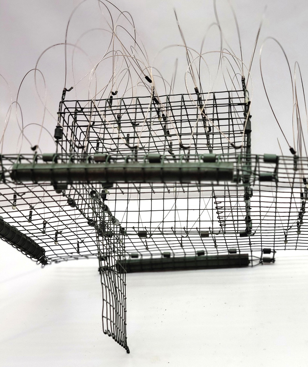 Swedish Goshawk Trap