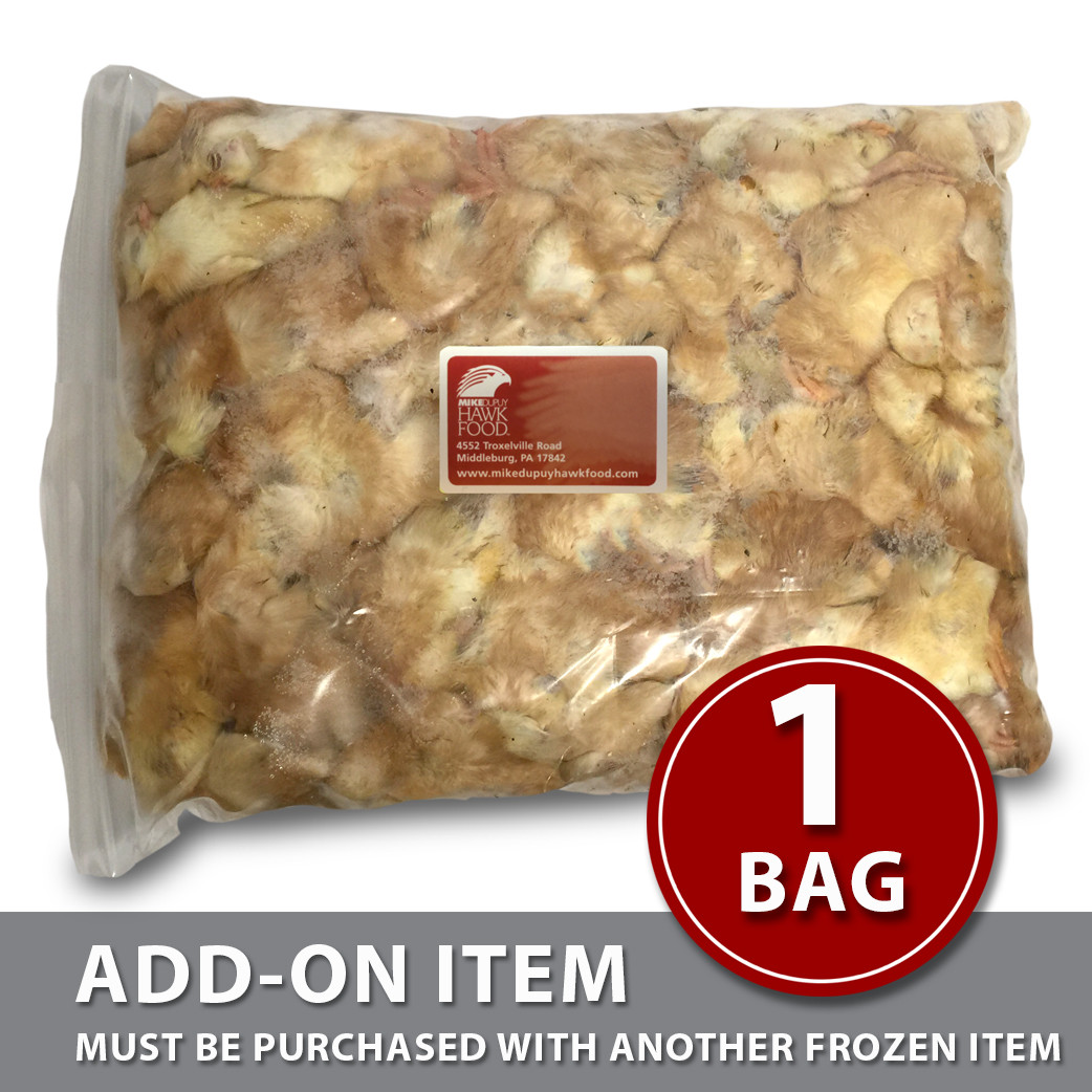 うにょページでございます☆duck280ℊ...1 chick1㎏...1 Day-Old Chicks - 2 Bags