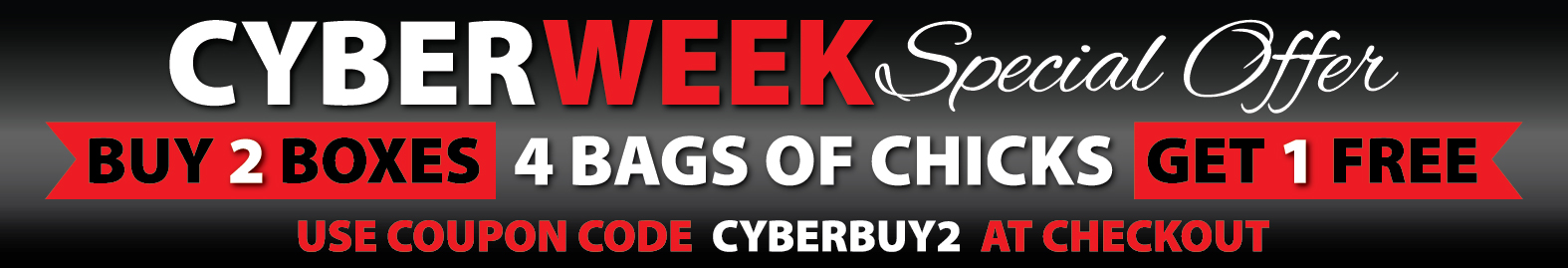 cyber-banner-buy2.jpg