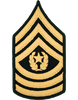 E9 Command Sergeant Major Dress Green Rank Male