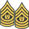 E9 Command Sergeant Major Dress Green Rank Female