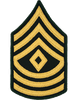 E8 First Sergeant Dress Green Rank Female