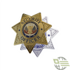 Security Officer Badge - 7 point Star Badge